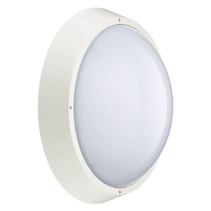 Philips - LED Vanjska zidna svjetiljka CORELINE LED/24W/230V IP65