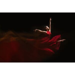 Umjetnička fotografija Flow of Dance, Rob Li