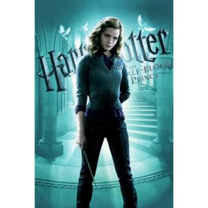 Umjetnički plakat Harry Potter - Half blood prince