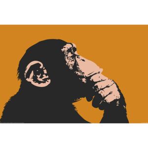 Monkey - Thinking Poster, (91,5 x 61 cm)