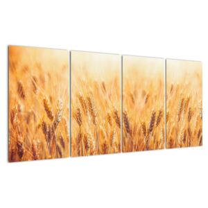 Slika - žito u polju (160x80cm) (V026073V16080)