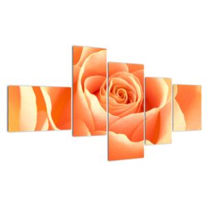 Slika - narančaste ruže (F000693F15085)