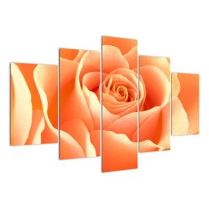 Slika - narančaste ruže (150x105cm) (F000693F150105)