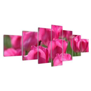 Slike - tulipani (210x100cm) (F002627F210100)