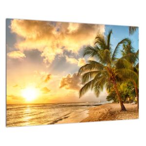 Slika - palme na pješčanoj plaži (60x40cm) (F006031F6040)