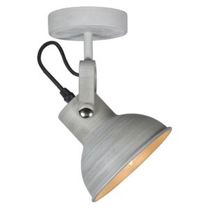 Industrijska zidna i stropna svjetiljka siva s nagibom - Guida