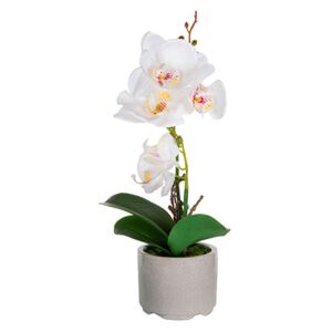 Orhideja bijela umjetna