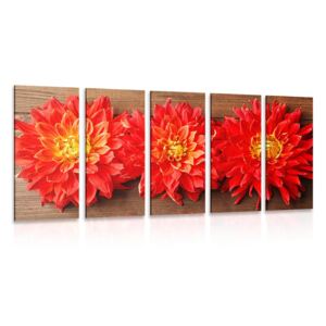5-dielny obraz kvety červenej dálie