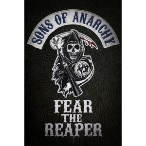 Sons of Anarchy - Fear the reaper Poster, (61 x 91,5 cm)