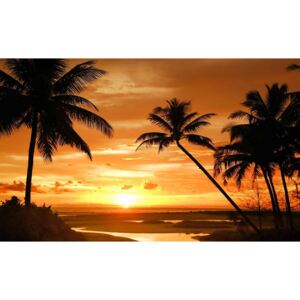 Beach Tropical Sunset Palms Fototapeta, (368 x 254 cm)