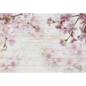 Vintage Chic Cherry Blossom Wood Planks Fototapeta, (104 x 70.5 cm)