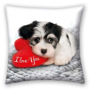HALANTEX jastuk Love Puppy Polyester, 40/40 cm