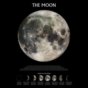 The moon – stage of the moon Poster, (61 x 91,5 cm)