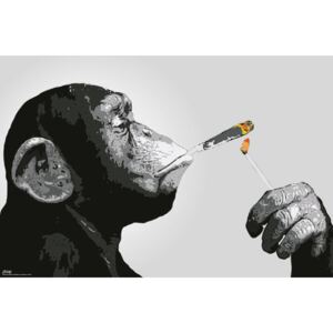 Poster Steez - Singes Smoking, (91.5 x 61 cm)