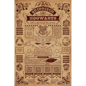 Harry Potter - Quidditch At Hogwarts Poster, (61 x 91,5 cm)