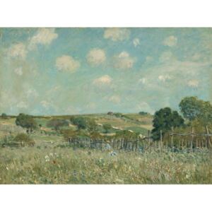 Alfred Sisley - Meadow, 1875 Reprodukcija umjetnosti