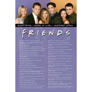 Friends - Everything I Know Poster, (61 x 91,5 cm)