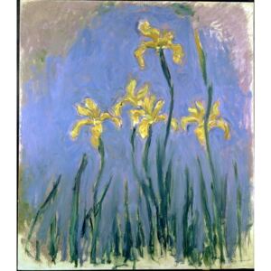 Monet, Claude - Yellow Irises; Les Iris Jaunes, c.1918-1925 Reprodukcija umjetnosti