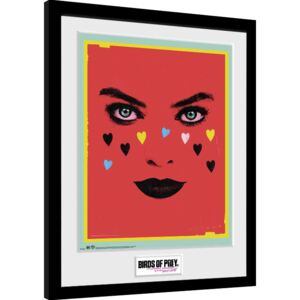 Birds Of Prey: And the Fantabulous Emancipation Of One Harley Quinn - Face Uramljeni poster