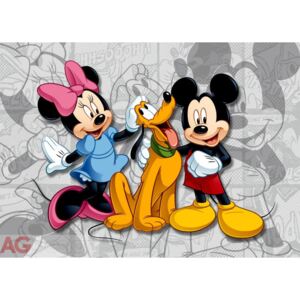 Flis foto tapeta AG Mickey i Minnie FTDNM-5204 | 160x110 cm