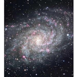Flis foto tapeta Galaksija MS30189 | 225x250 cm