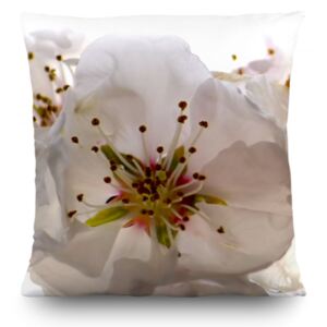 Dekorativni jastuk Cvijet jabuke CN-3606, 45 x 45 cm
