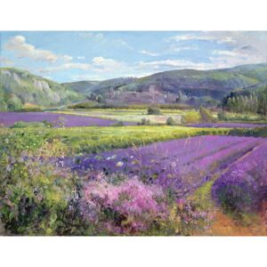 Timothy Easton - Lavender Fields in Old Provence Reprodukcija umjetnosti