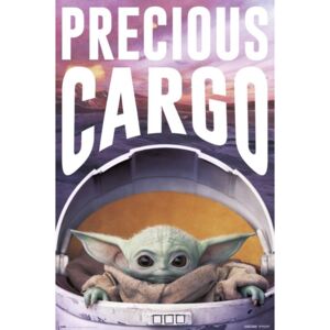 Star Wars: The Mandalorian - Precious Cargo Poster, (61 x 91,5 cm)