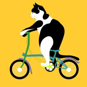Huntley, Claire - Cat on a Brompton Bike Reprodukcija umjetnosti