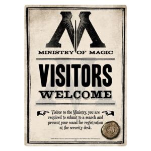 Harry Potter - Ministry Of Magic Metalni znak, (15 x 21 cm)