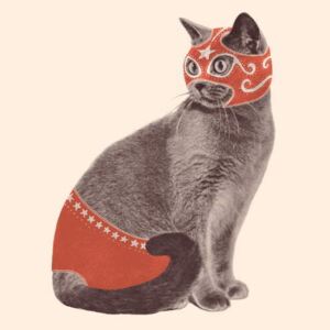 Bodart, Florent - Cat Wrestler Reprodukcija umjetnosti