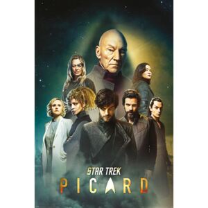 Star Trek: Picard - Reunion Poster, (61 x 91,5 cm)