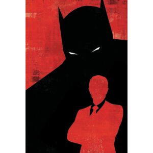 Batman - Dark Identity, (85 x 128 cm)