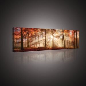 Buvu Slika na platnu: Svitanje u šumi - 145x45 cm