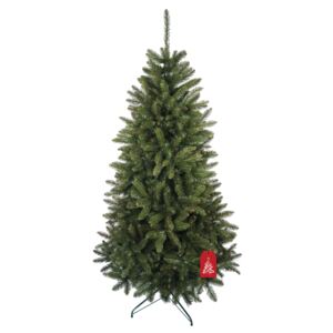 Božićno drvce Kavkaska smreka 180 cm