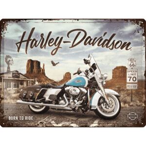 Buvu Metalna tabla: Harley-Davidson (King of Route 66) - 40x30 cm