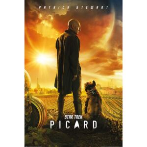 Buvu Poster - Star Trek Picard (Picard Number One)