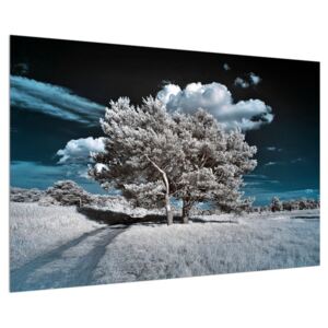 Slika snježnobijelog stabla (90x60 cm)