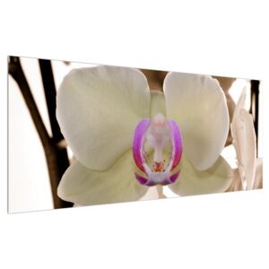 Slika cvijeća orhideje (120x50 cm)