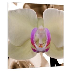 Slika cvijeća orhideje (30x30 cm)