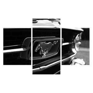 Detaljna slika automobila Mustang (90x60 cm)
