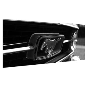 Detaljna slika automobila Mustang (120x50 cm)