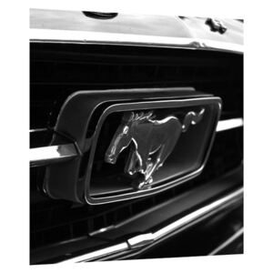 Detaljna slika automobila Mustang (30x30 cm)
