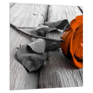 Slika narančaste ruže (30x30 cm)
