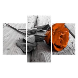 Slika narančaste ruže (90x60 cm)