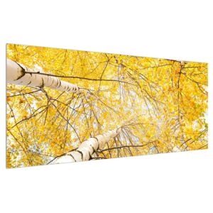 Slika breze (120x50 cm)