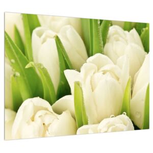 Slika cvjetova tulipana (70x50 cm)