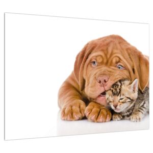 Slika psa s mačićem (70x50 cm)