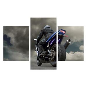 Slika bajkera na motociklu (90x60 cm)