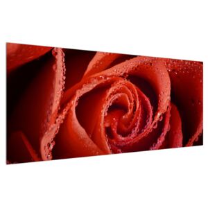 Slika crvene ruže (120x50 cm)